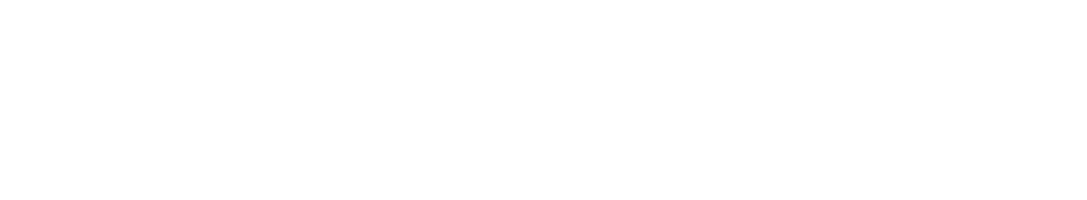 Medanest